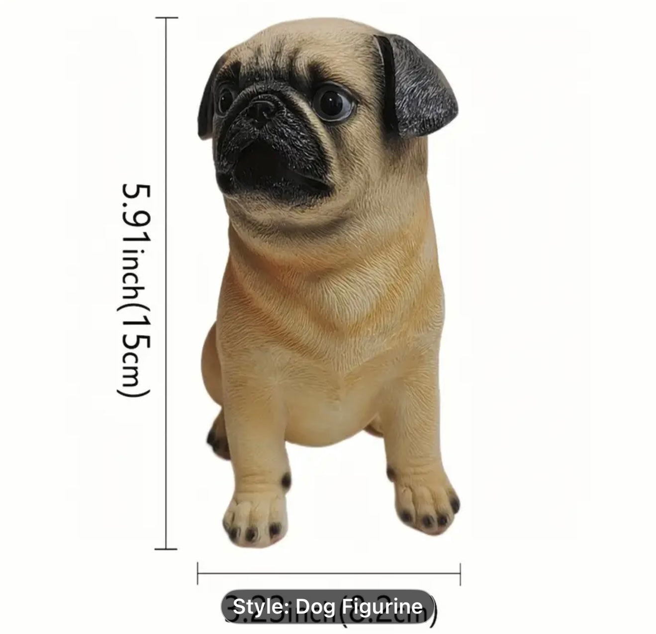 Miniature Pug actual size.