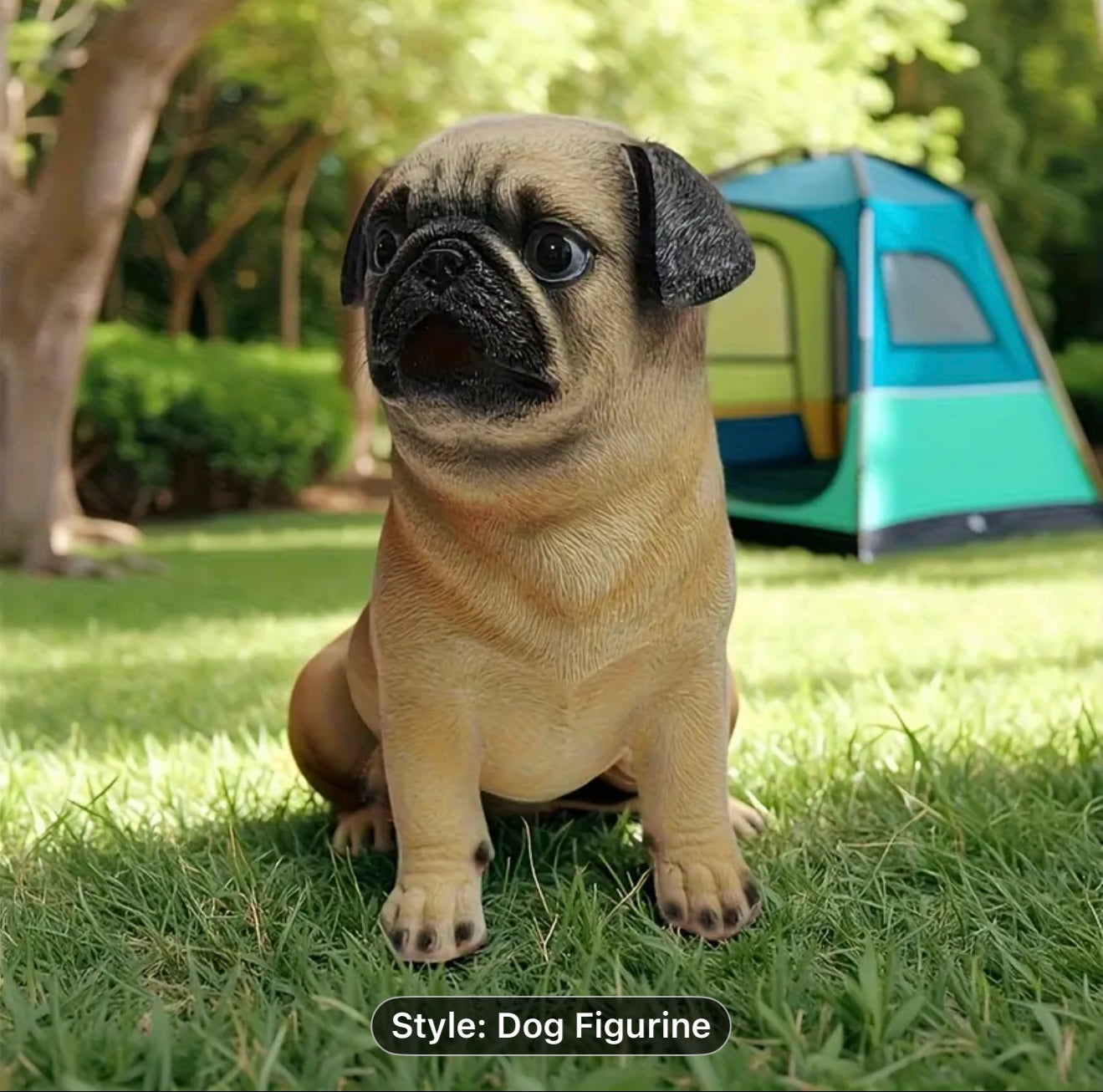 Miniature Pug - perfect for the Kiddo to play in the backyard