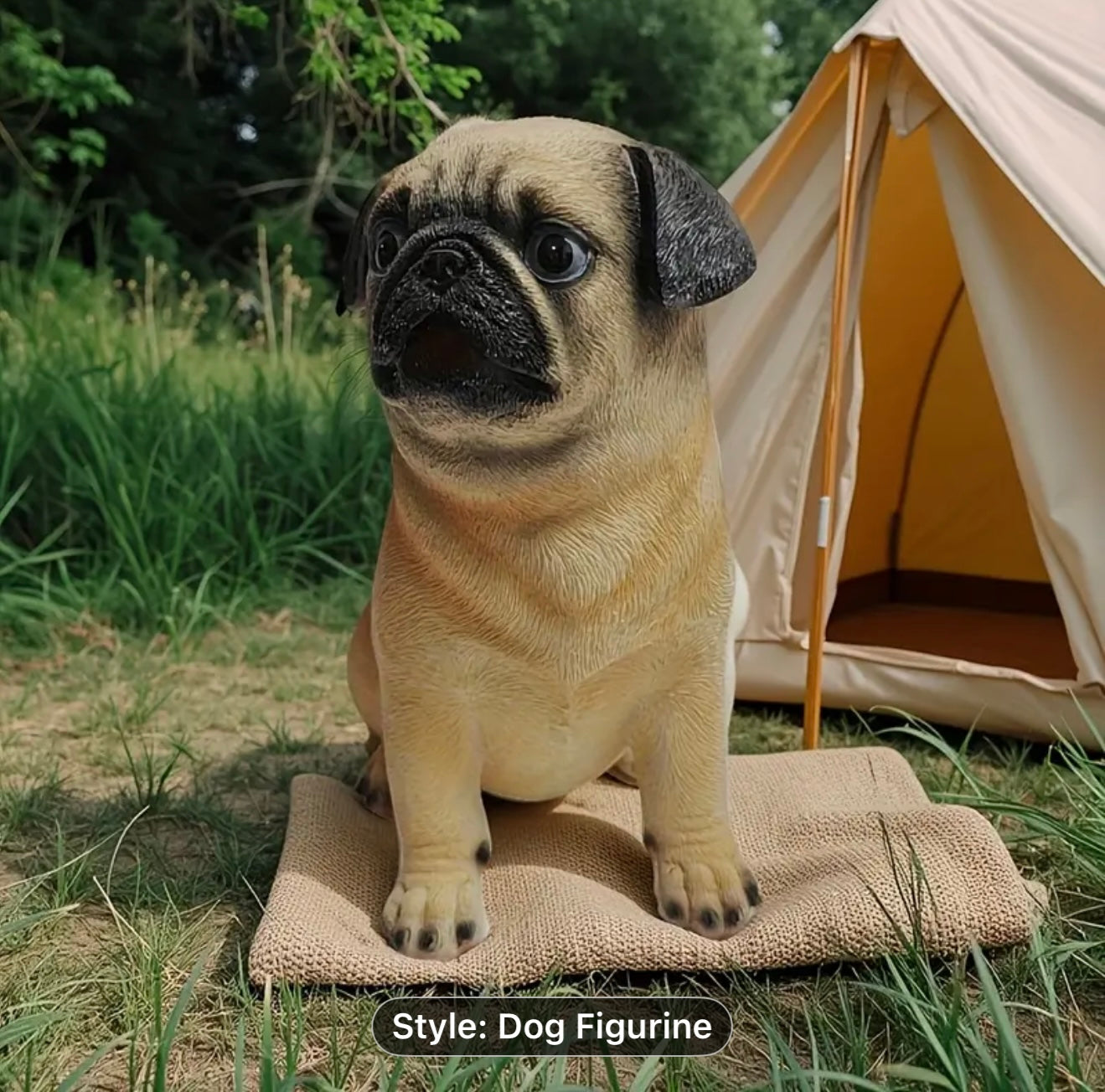 Miniature Pug - perfect to take them Glamping